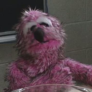 Aspiring Actor. Muppet in Training. Half Monster, Half Gonzo.