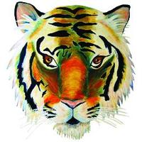 Bay View Athletics (@bvbengals) 's Twitter Profile