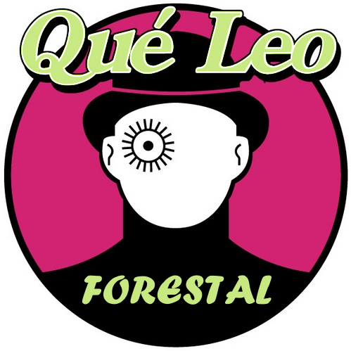 QueLeoForestal Profile Picture