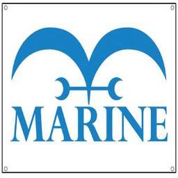 Marines Company