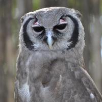 Erika Wanczuk (@ewanczuk) 's Twitter Profile