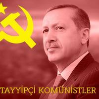 TAYYİPÇİ KOMÜNİSTLER (@gerceksolcular) Twitter profile photo