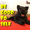 George SelfEsteemCat - @GeorgeGood2Self - Twitter