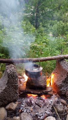 RolfYland's profile picture. 