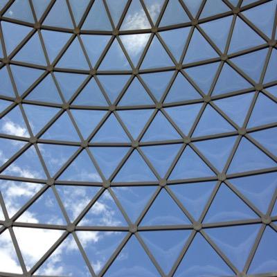 decodinglyme's profile picture. Decoding Lyme... one step at a time