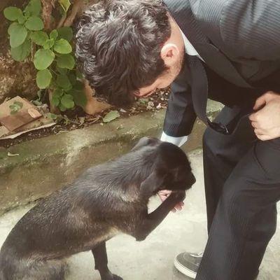 techtraveler311's profile picture. An ordinary guy.