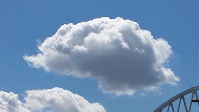 mcaraway1's profile picture. 