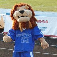 Roary's Rundown (@peachtreeridge) 's Twitter Profile