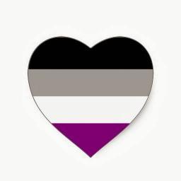 Organising meet ups and raising awareness for people on the asexual spectrum in Ireland! Check out our Facebook Page, and the group, Ace Meetups Ireland.