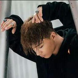 Foxybae_'s profile picture. 