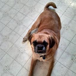 robinmarie1204's profile picture. 