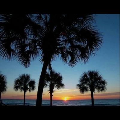 niceguyak's profile picture. 