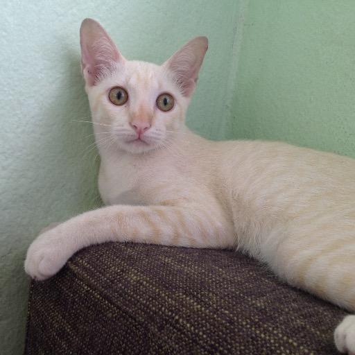 GWasuvitch's profile picture. 