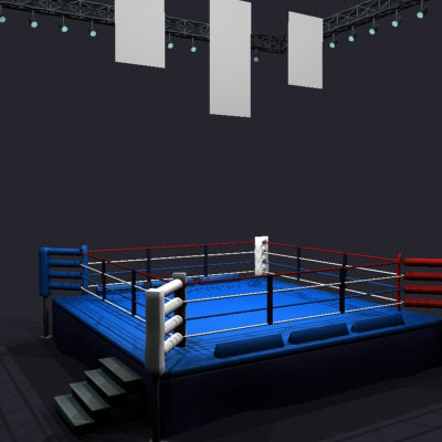 We invent the best in boxing sponsorship programs