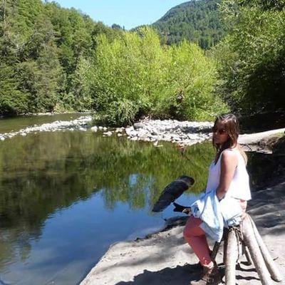 gissemors's profile picture. estudiante de licenciatura en trabajo social