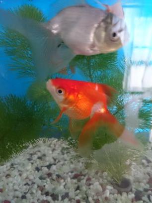 qp_hime's profile picture. スキンケア、コスメ、モニター、懸賞！
北海道日本ハムファイターズの北山亘基投手、田宮裕涼選手、田中正義投手、が大好きです(*^-^*)♡