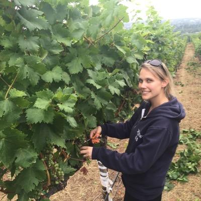 KcAmrine's profile picture. data schmeintist