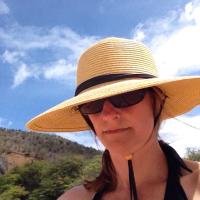 Pamela Kraus (@pamkraus) 's Twitter Profile