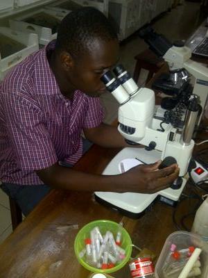 moumitebasil's profile picture. 