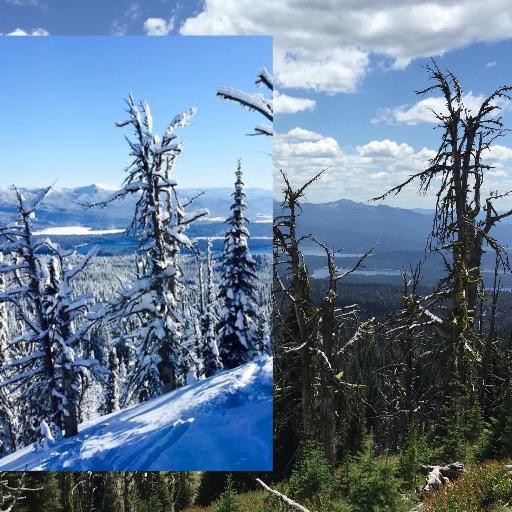 troylati's profile picture. 