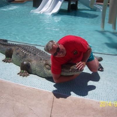 heinrichholly's profile picture. 