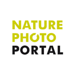 Nature Photo Portal is THE Resource & Community for Nature Photographers and Nature Photography. Get inspired by Information and Inspiration. Check us now!