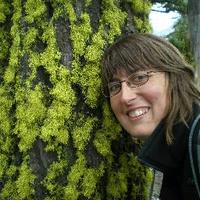 Sue Baker (@forest_sue) 's Twitter Profile