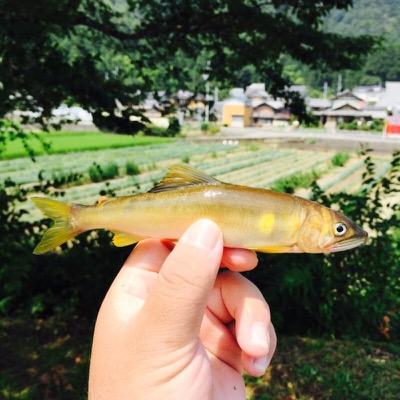 トゥルル 岩魚 鯉 鰻 飼育垢 Nijimasu Kawaii Twitter トゥルル 岩魚 鯉 鰻 飼育垢 Nijimasu Kawaii Twitter