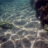 waterloverswim's profile image