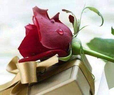 asadahmedkhans4's profile picture. Honesty is best policy