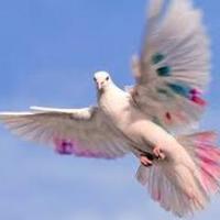 Mojgan Mesbahi (@mojgan_mesbahi) 's Twitter Profile Photo Mojgan Mesbahi (@mojgan_mesbahi) 's Twitter Profile Photo