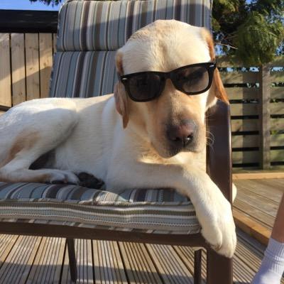 doris_dont's profile picture. 