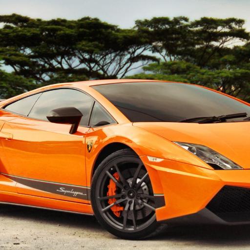 parag7782's profile picture. phd