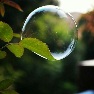 saksham2304's profile picture. 