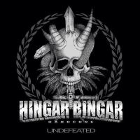 HINGAR BINGAR THC (@hingarbingarhc) 's Twitter Profile