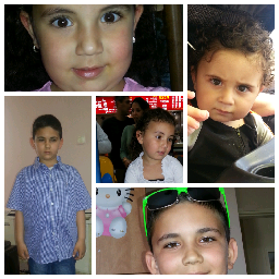 meirdd50's profile picture. 