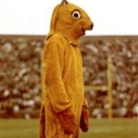 Danny (@dannygopher9100) 's Twitter Profile