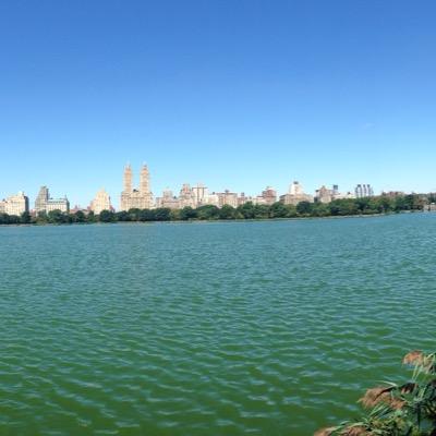 Woooorldstaaar's profile picture. 