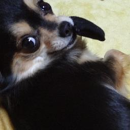 u_mai30's profile picture. アラサー独女
♡少女漫画/AAA(Nissy)/テレビ/特撮ヒーロー/華流(ジョセフ・チェン)/わんこ🐶/バレーボール(高橋みゆき)…etc…

👩2019.4母が呼吸困難で救急搬送→車内で心肺停止確認→蘇生→低酸素脳症(植物状態)で1年10ヶ月入院、2021.2在宅介護再開🏠同6月お空に…介護垢お邪魔します🙏