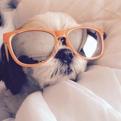 intobluewim's profile picture. #blauwbloed