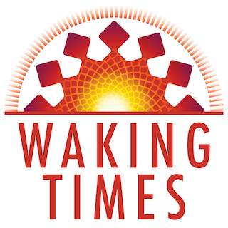 WakingTimes Profile Picture