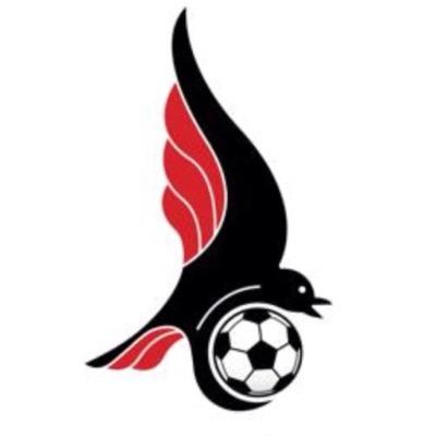 Under 18's currently playing in the Gwent County Youth League (South Division) Managed by James Kinsella. @lucascwmbranfc
