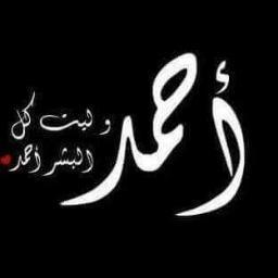 elrashedy20271's profile picture. 