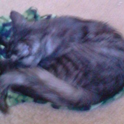 Christi30206276's profile picture. meh