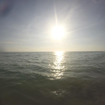 Fieds3's profile picture. 