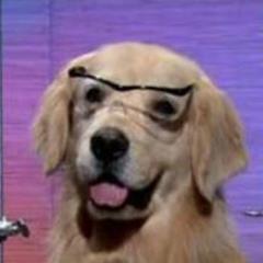 Jack_Not_Null's profile picture. [REDACTED]