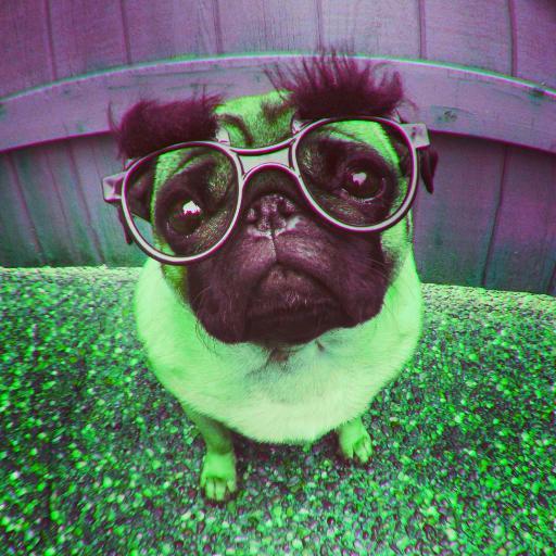Chad Wingerd - Former World of @Warcraft Community Manager - I'm not really a pug.