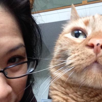 j1ruchan's profile picture. Geek, kawaii, travel, food, music (especially NKOTB & a-ha), Reylo, Go Blue!💛💙 Forks Up!🔱