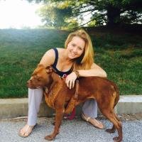 Lauren Burch (@laurenburch) Twitter profile photo