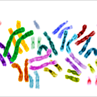 SexGenomics (@sexgenomics) 's Twitter Profile